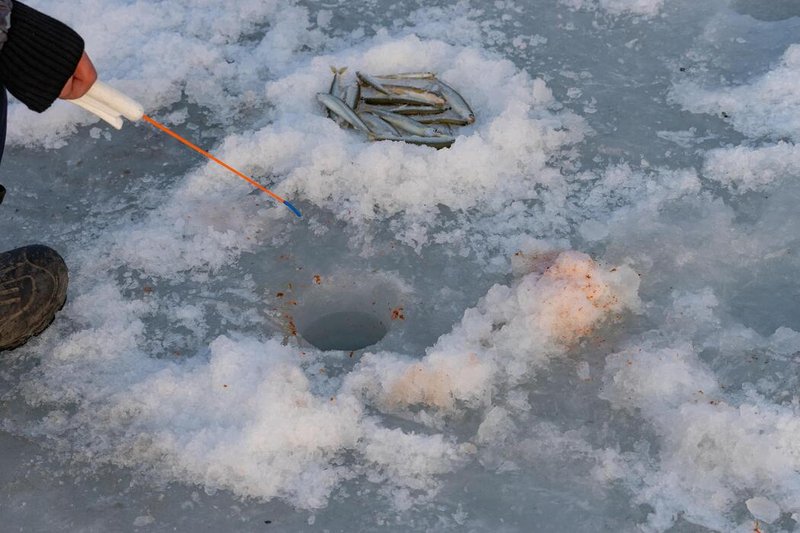 Best ice fishing game online in Germany